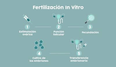 Slider image (1) PROVIDA